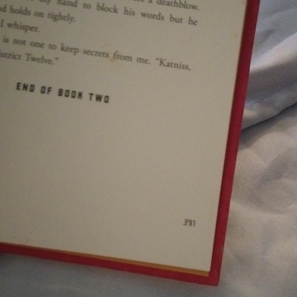 ⚜️ Catching Fire & Mockingjay - Picture 10 of 12